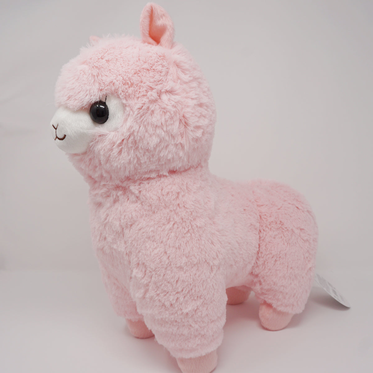 Amuse Pink Alpacasso Big Plush – Mary Bear