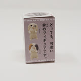 Japanese Chin Dog Puppy Blind Box - Kitan Club