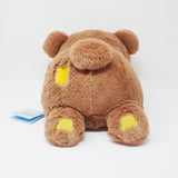 Large Chairoikoguma "Koguma-chan" Huggable Bear Plush - San-X Originals Collection Rilakkuma