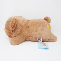 Large Chairoikoguma "Koguma-chan" Huggable Bear Plush - San-X Originals Collection Rilakkuma