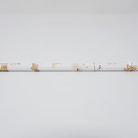My Tiny Bear Pencil - Kamio Japan