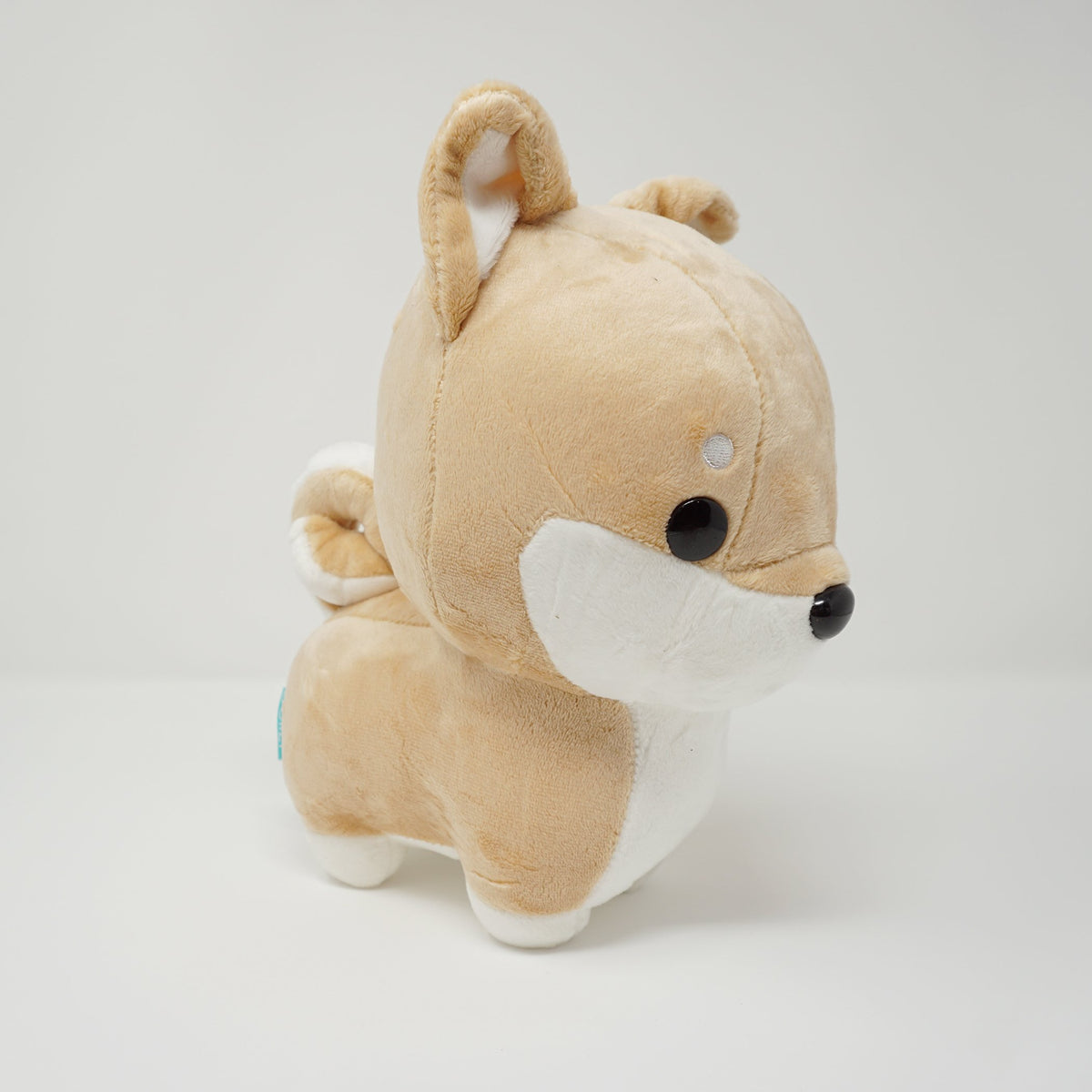 Bellzi shiba shop